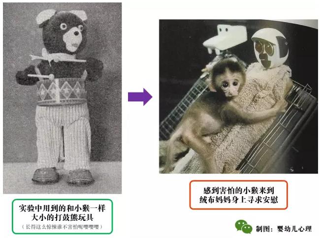 你与妈妈的关系决定了什么,来自妈妈的爱对话