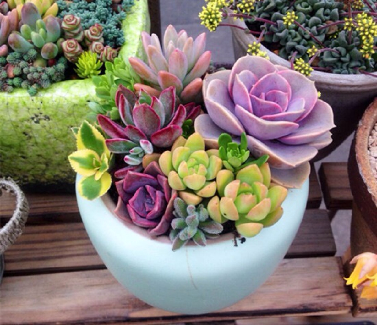 在青岛必做的100件事儿,来青岛必须做的四件事