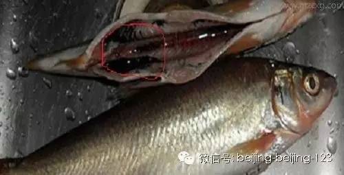 爱吃海鲜的人要注意什么,爱吃海鲜的人怎么避免痛风