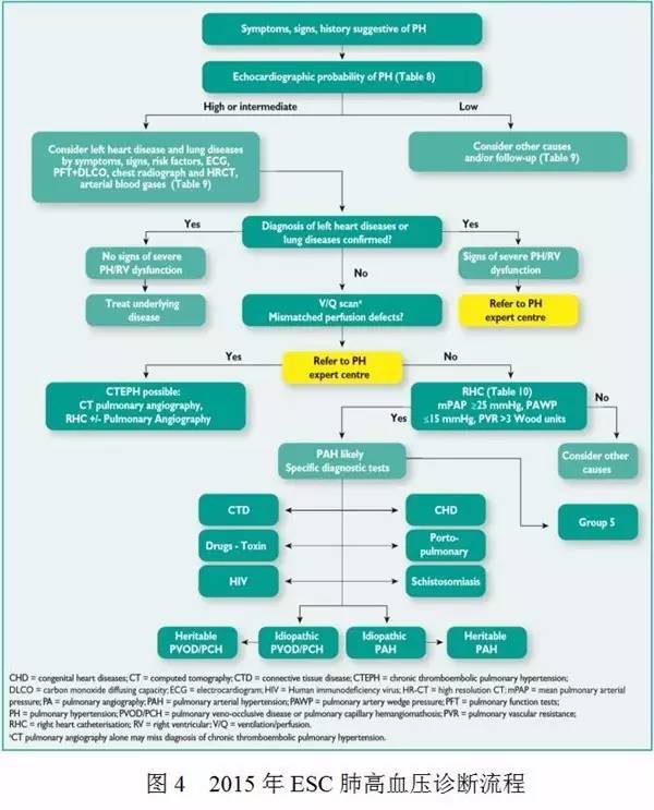 荆志成：特发性肺动脉高压1例