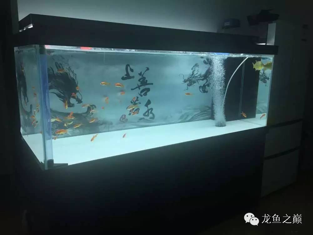 开启人生第二个阶段,开启人生中的第三年