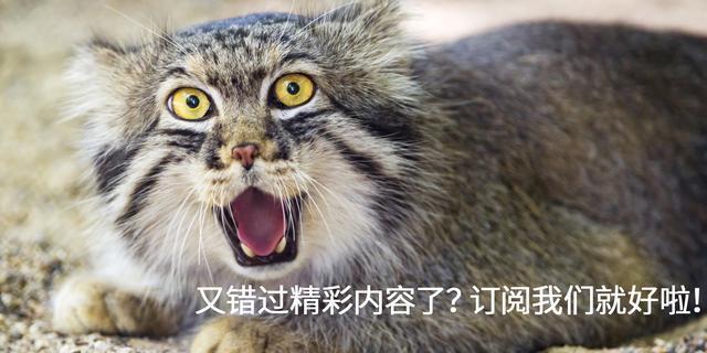 30支裸色唇膏试色,16色唇膏