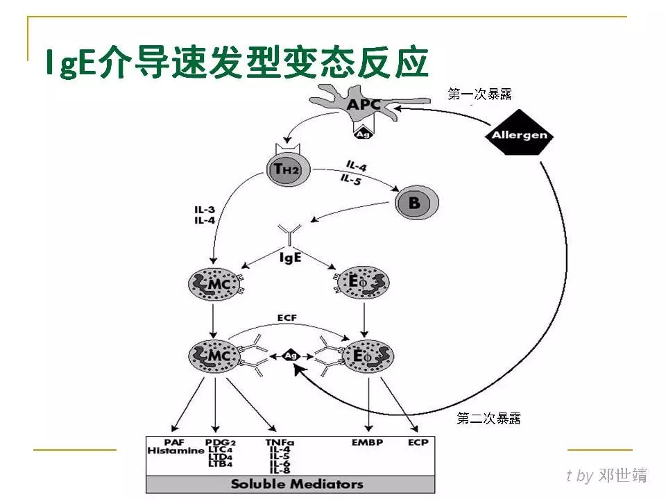 眼周过敏中医治疗,眼周过敏的症状图片