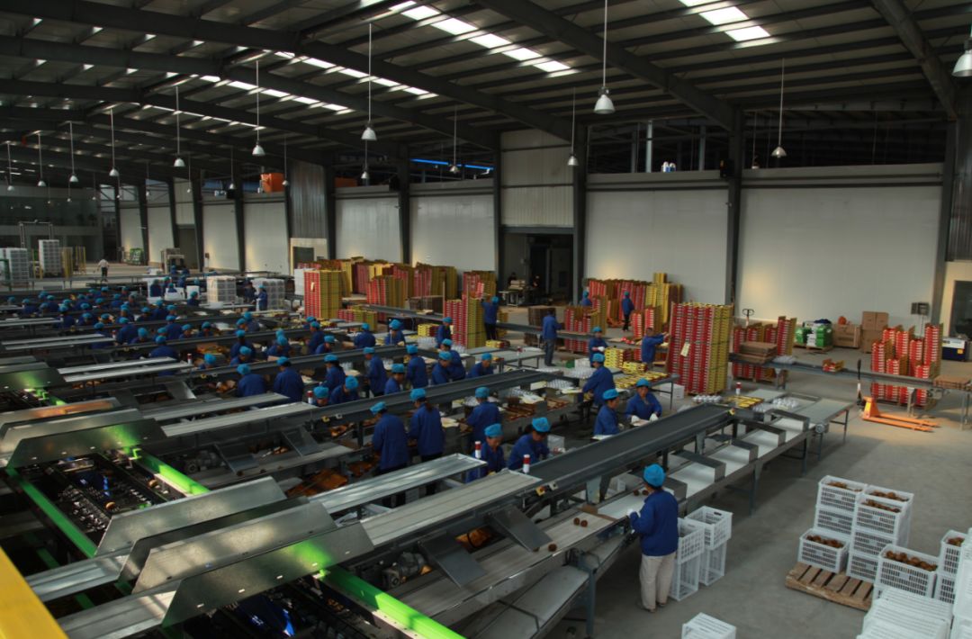 快鱼吃慢鱼大鱼吃小鱼法则,快鱼吃慢鱼下一句