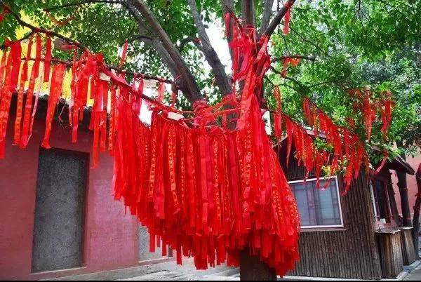 临沂人游天蒙山免票,天蒙山旅游门票免费政策