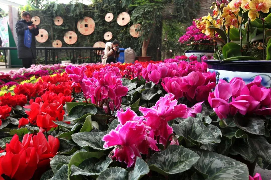 「946·民生」石家庄过年全攻略！医院、银行、演出、商超营业时间地点大汇总！