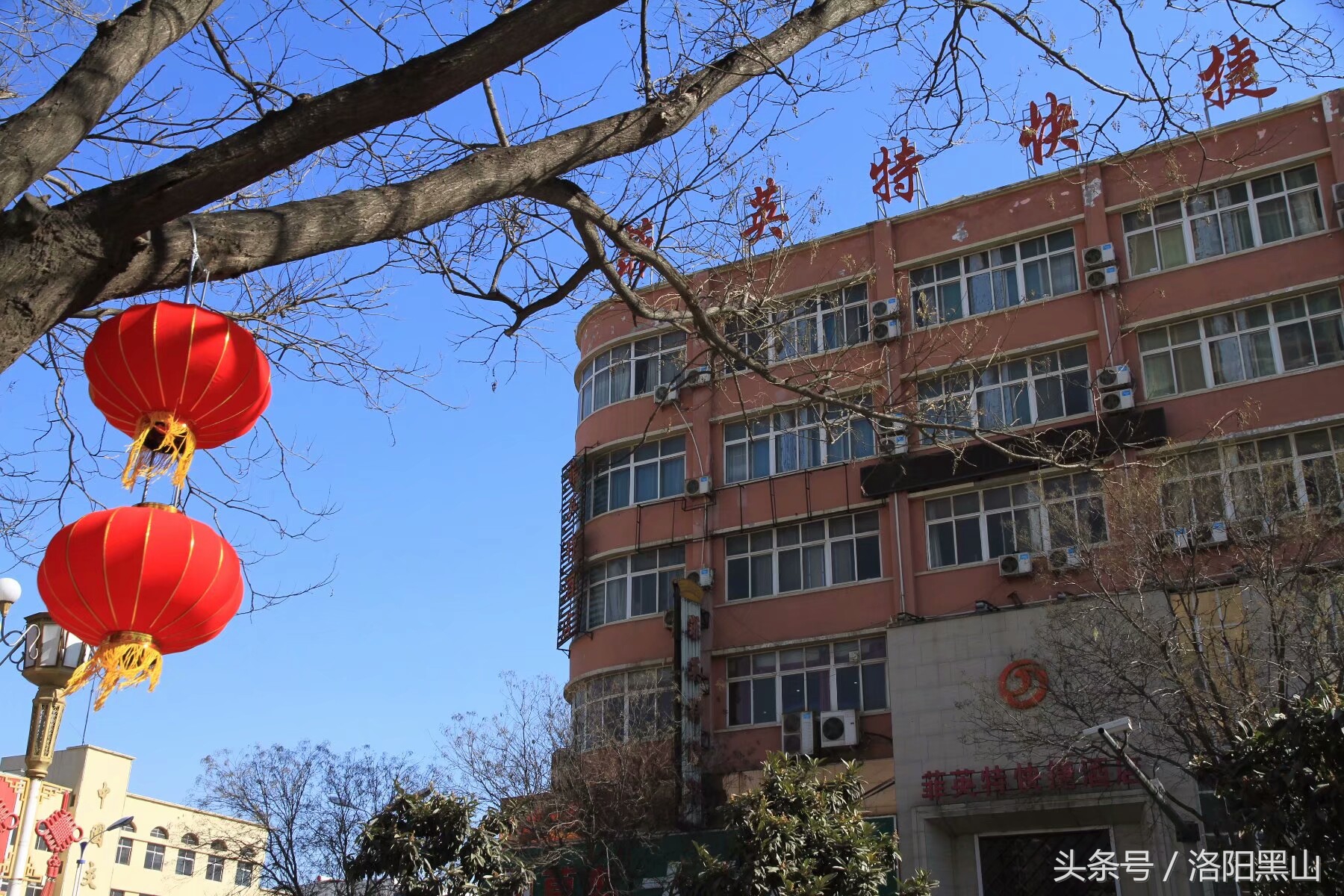 宜阳小灯笼,宜阳红灯笼