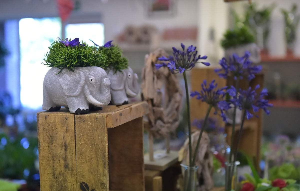 日本创业点子,8个新农村快速致富创业点子