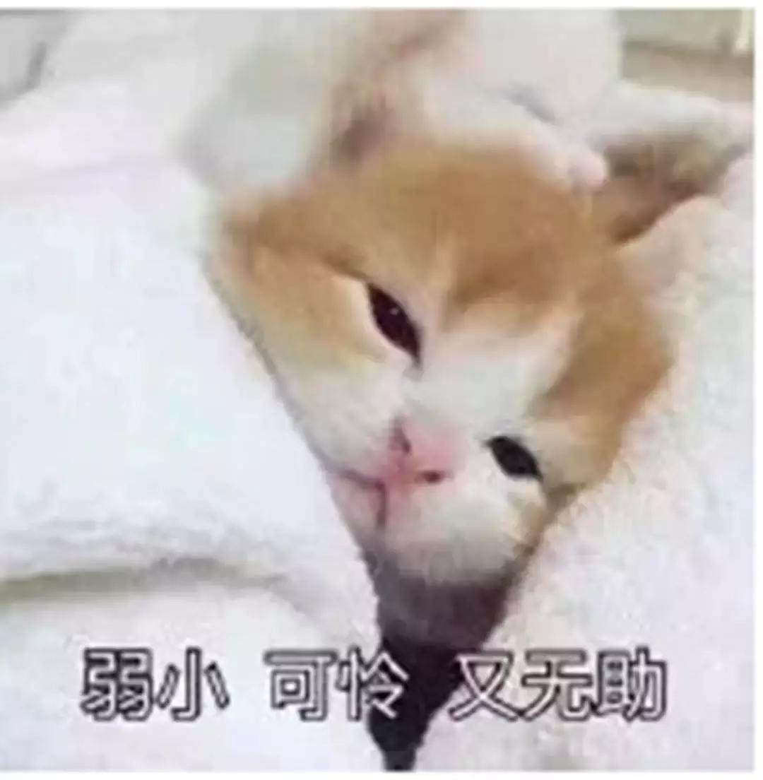 宋代住宿特点,宋朝的旅店