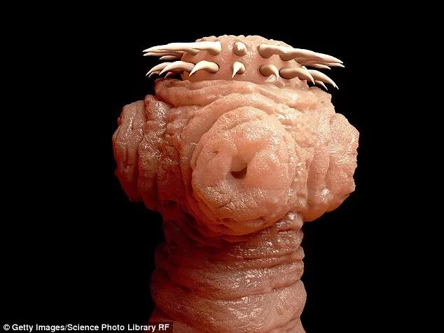 海边游泳后皮肤瘙痒刺痛,澳洲女子在海滩发现奇怪物体