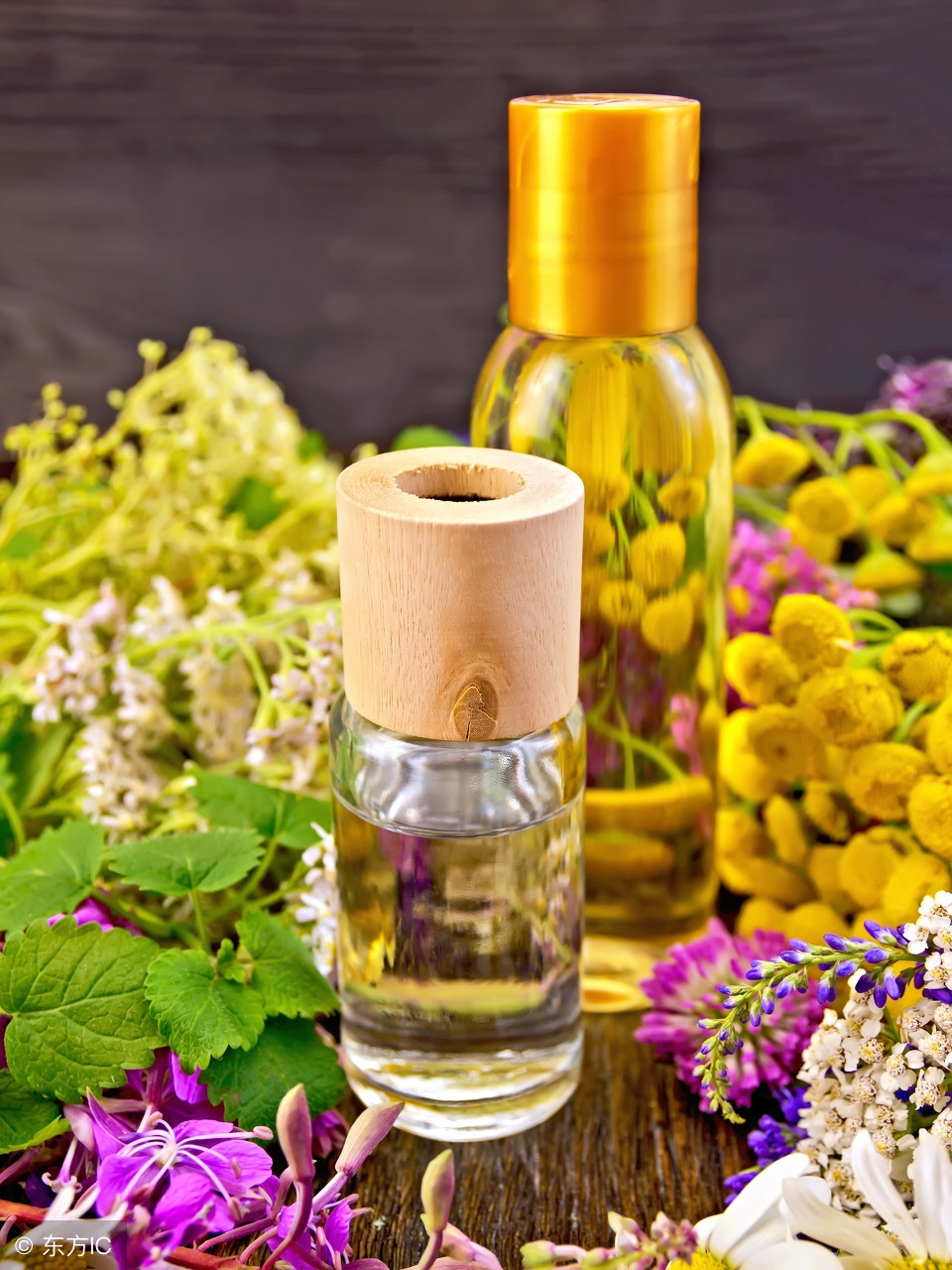 鼻出血勿仰头,鼻出血不要着急堵回去