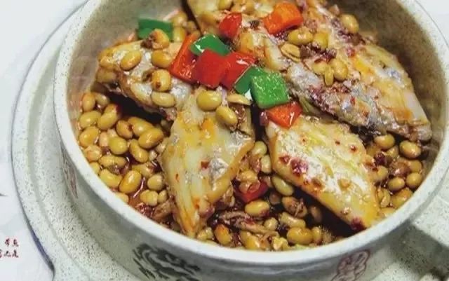 舟山沿海城市有多美,舟山是一座有魅力的城市