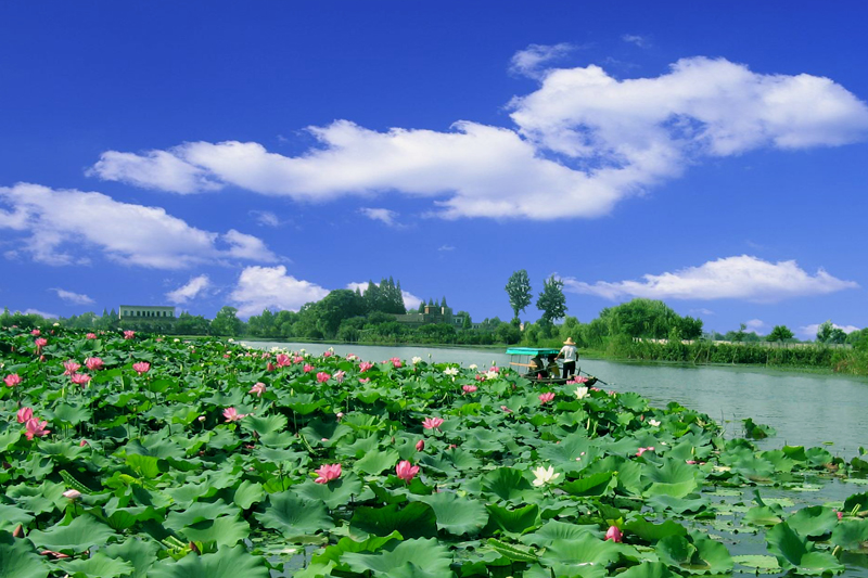 监收鱼盐之利读音,湖北监利渔政