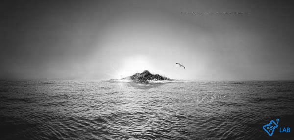 獐子岛是一家啥样的公司,獐子岛公司是哪个地方的