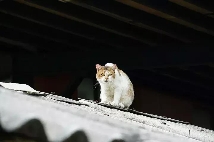 e-mount索尼,emount镜头焦段