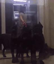 操劳过度好好休息,操劳过度和劳累过度有什么区别