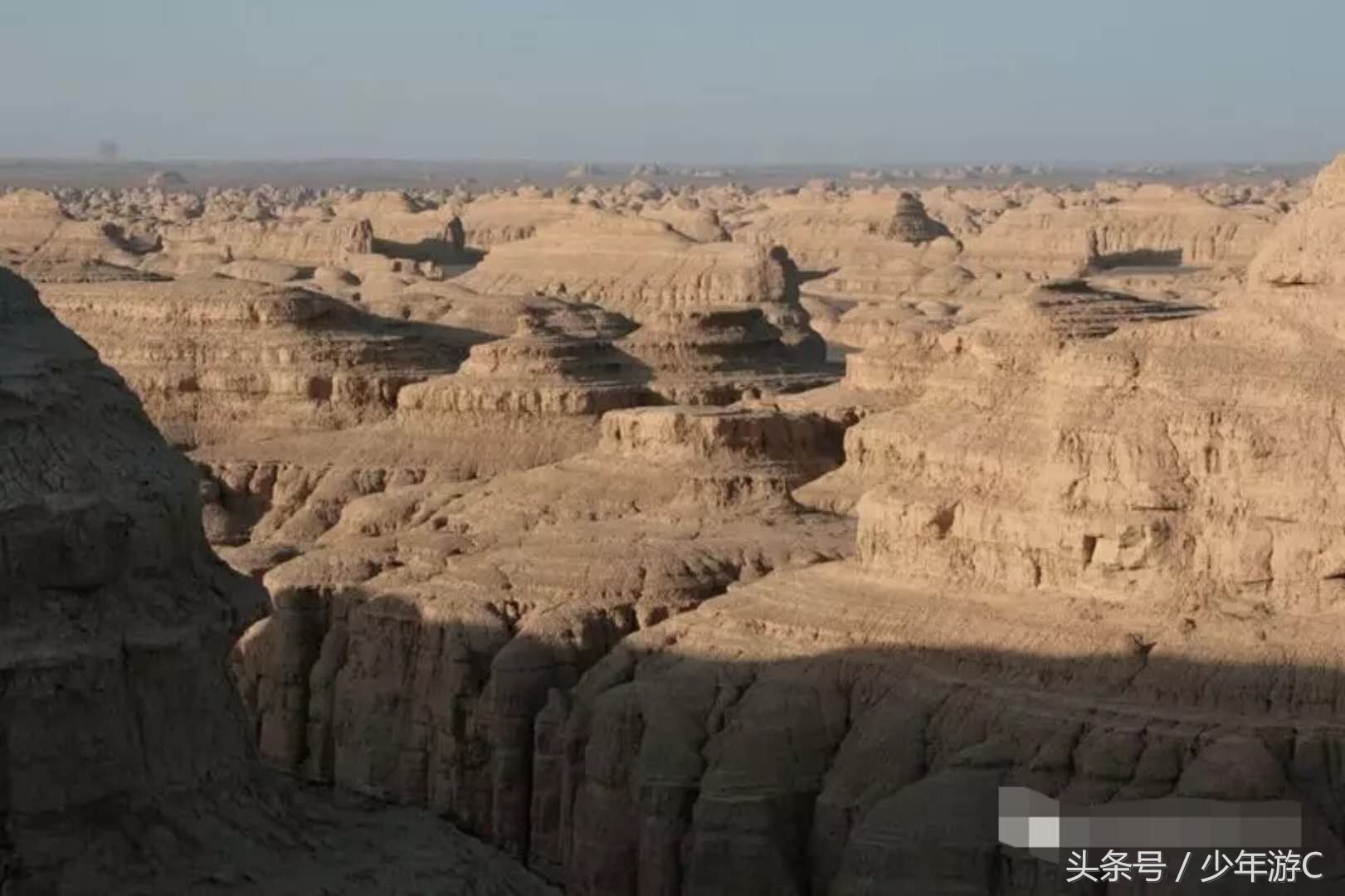 有2个浙江或6个台湾大,农民人均收入直逼上海,它就是*疆新**若羌县