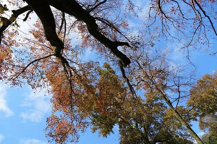 e-mount索尼,emount镜头焦段