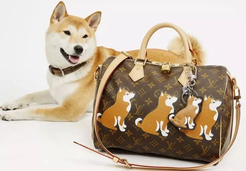 看完这些大牌的狗年定制,我都不想属狗了