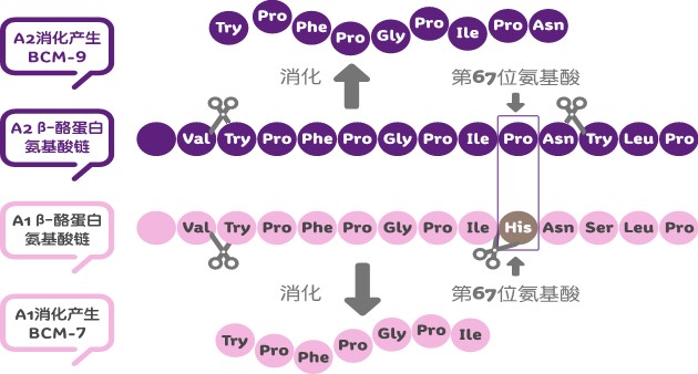 最近查出来的违规奶粉,最近哪些奶粉被罚款了