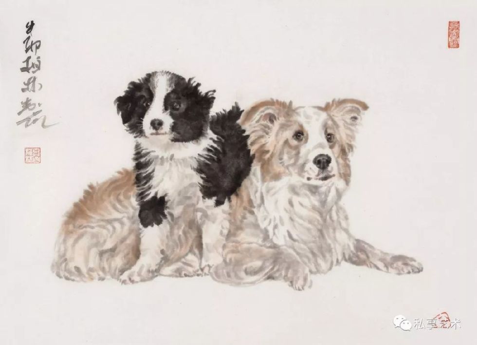 瑞犬迎春视频完整版,瑞犬迎春