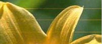 l3258打印颜色偏浅,打印机l3218颜色偏蓝怎么设置