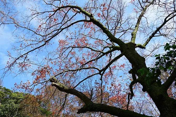 e-mount索尼,emount镜头焦段