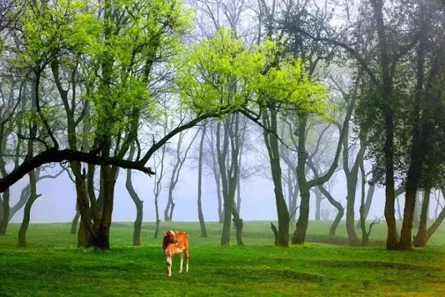 南昌自驾游攻略景点推荐一日游,南昌附近免费好玩的地方自驾游