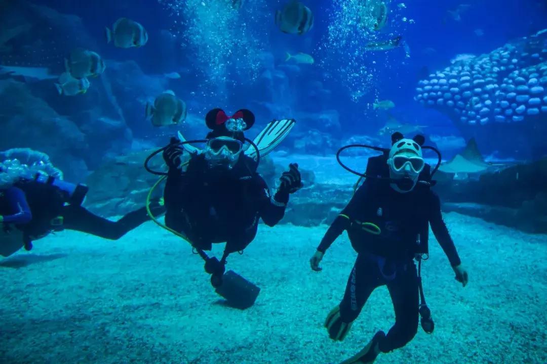 走起~今晚18:30拿出手机摇一摇,《过年啦》惊喜来袭!