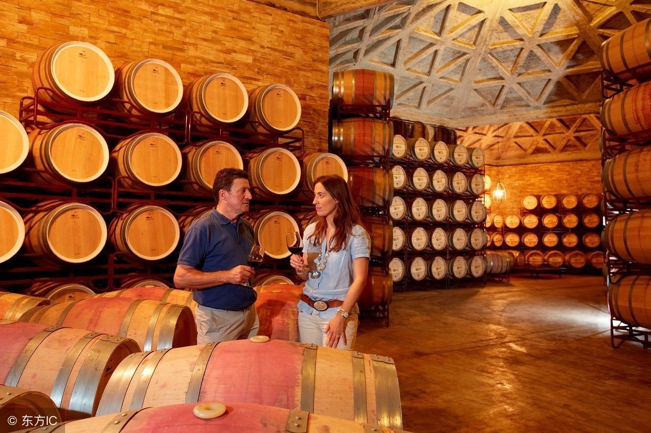 狗能吃海带么,海带能不能给狗吃