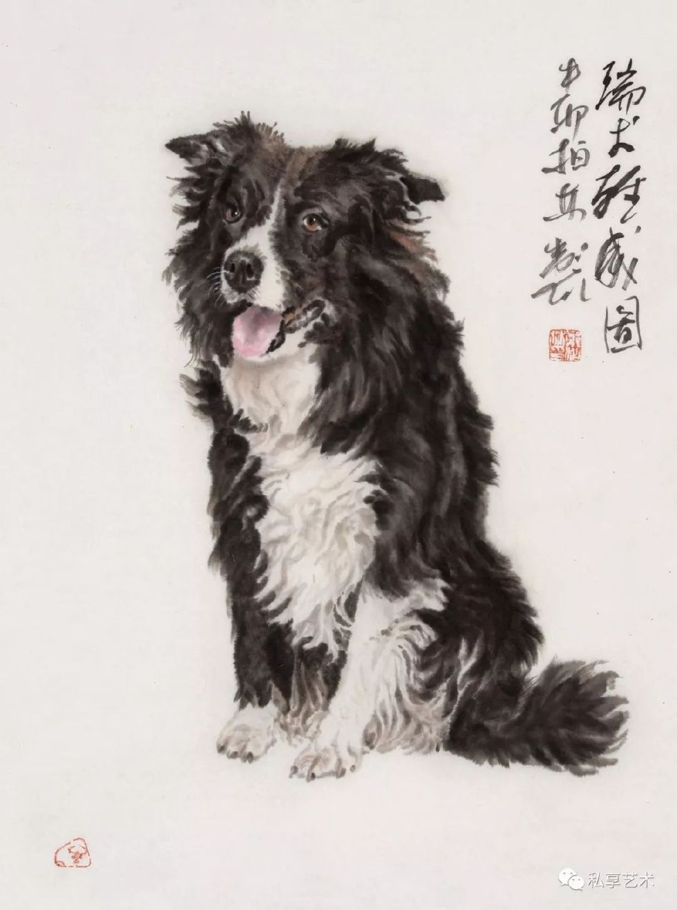 瑞犬迎春视频完整版,瑞犬迎春