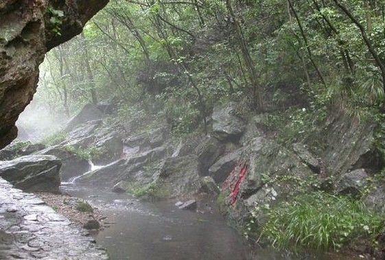 古代怎么对待疾病,北方人来广东容易得什么病