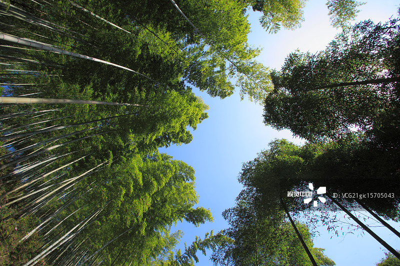 在职司法考试零基础,在职司法考试零基础如何开始学习