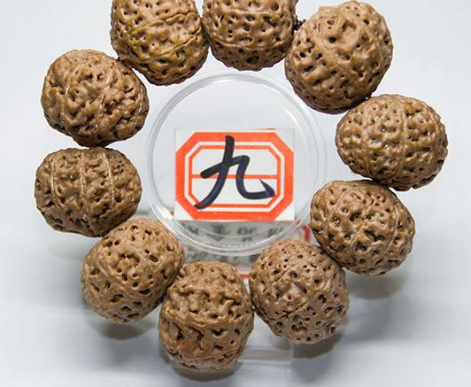 玩金刚必须知道什么,玩金刚应该注意的几个问题