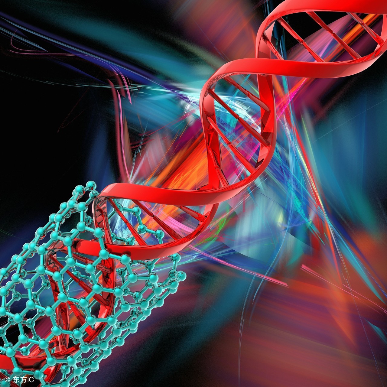 壁虎的断尾再生术,壁虎断尾再生现象有哪些