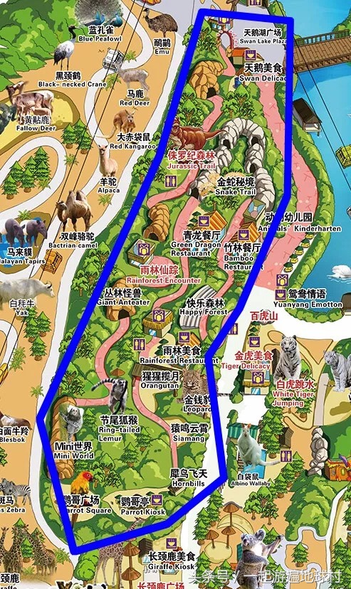 长隆野生动物世界游玩北门攻略,长隆野生动物世界旅游攻略路线