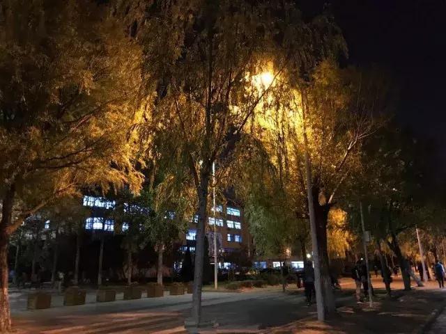 你撤回了一条消息的印记怎么删除,你撤回了一条消息怎么删除