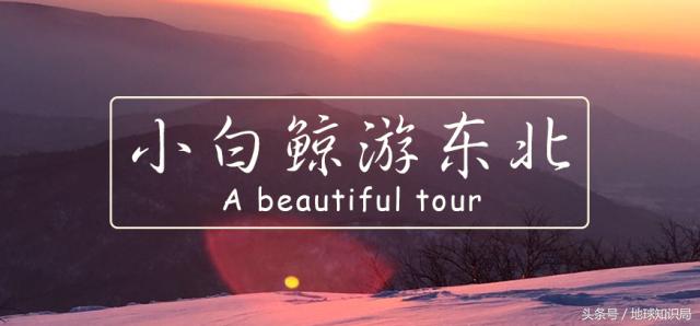 小白鲸的东北之旅｜地球知识局