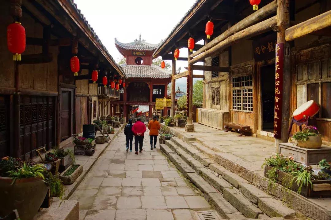 广元市柏林樱花节,广元柏林大型樱花节