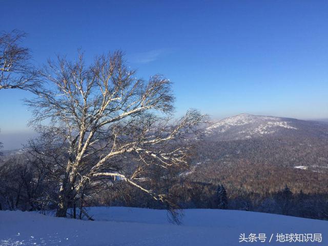 小白鲸的东北之旅｜地球知识局
