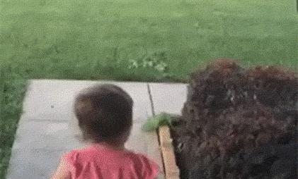 不可思议的进球,不可思议的进球图