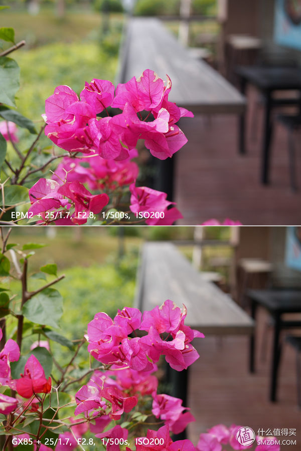 松下gx85微单价格,速度与激情85讲解