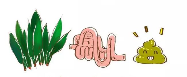 宝宝7天不拉粑粑，他究竟怎么了？