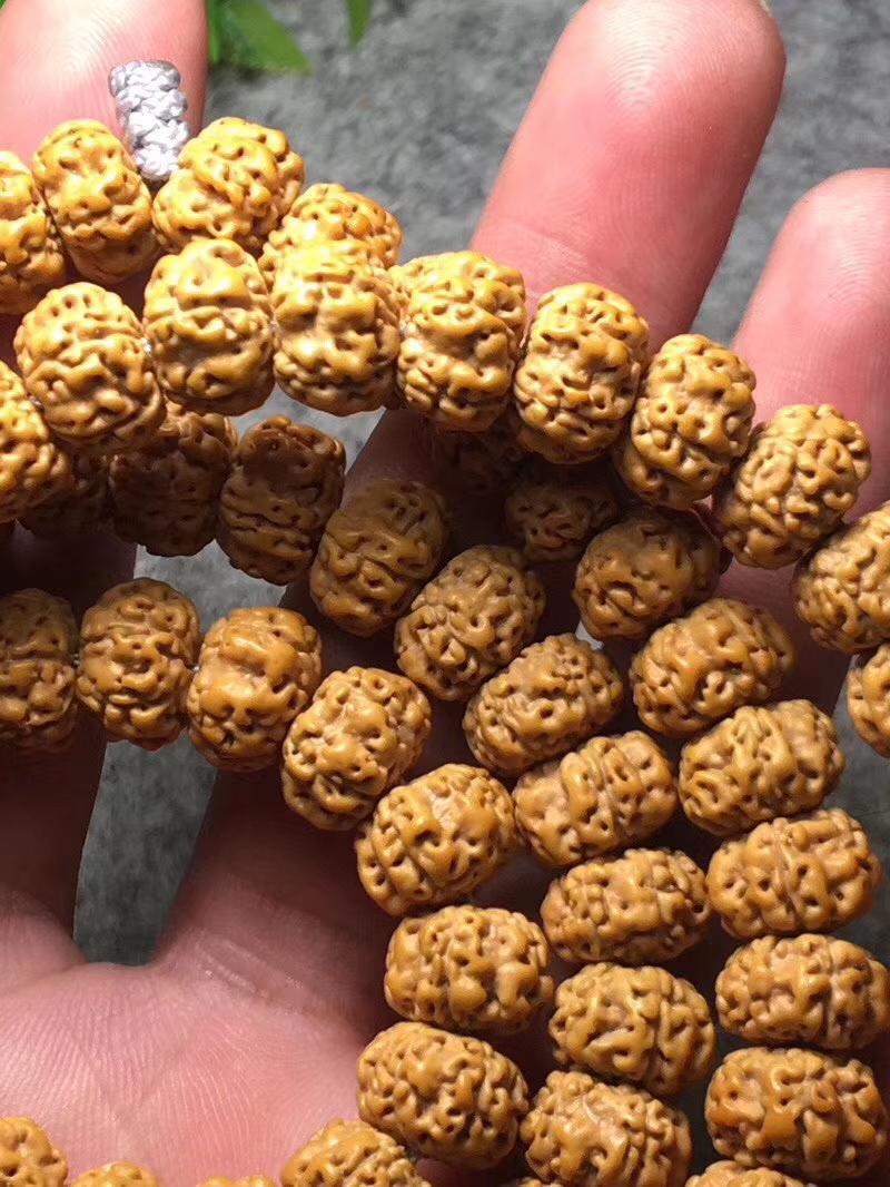 ufo金刚是什么品种,金刚菩提飞碟双龙怎么盘