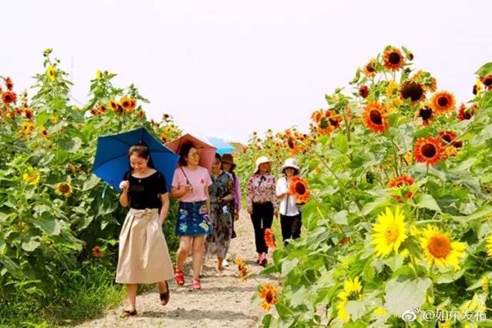 身虽远心已至怎么回复,身虽远心未远