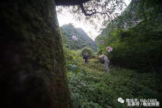 汉水源头南源,汉江南水北调的源头