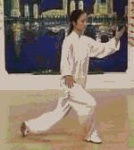 太极二十四式入门基本动作,太极入门学24式吗