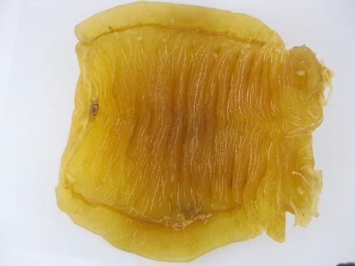 鱼胶花胶的烹饪方法,花胶鱼胶做法教程