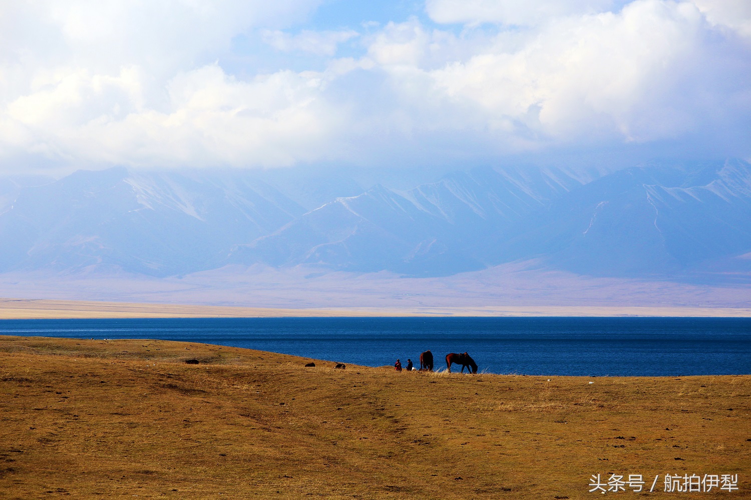 美丽的赛里木湖风景图片,赛里木湖的美景