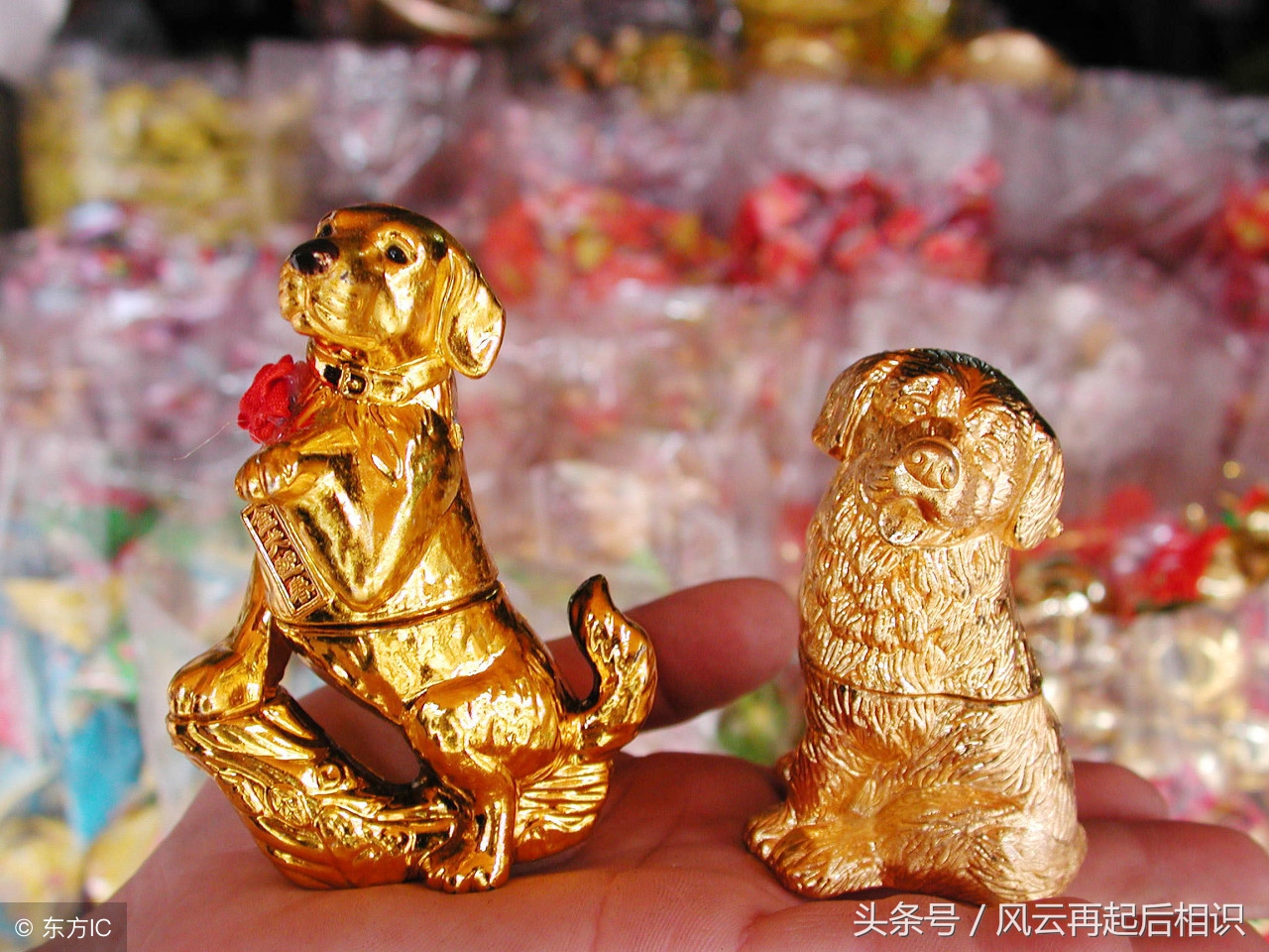 十二星座狗幸运色,属相狗幸运数字及颜色